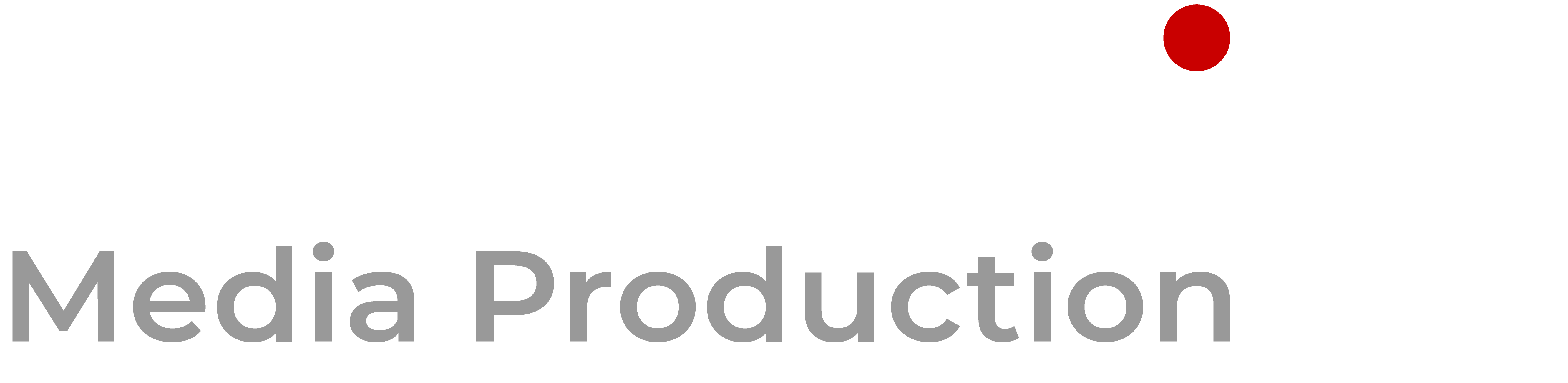 THEISS Media Production